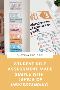 This image shows documents included in the Levels of Understanding bundle. The text at the bottom of the image read "Student Self Assessment Made Simple With Levels of Understanding."