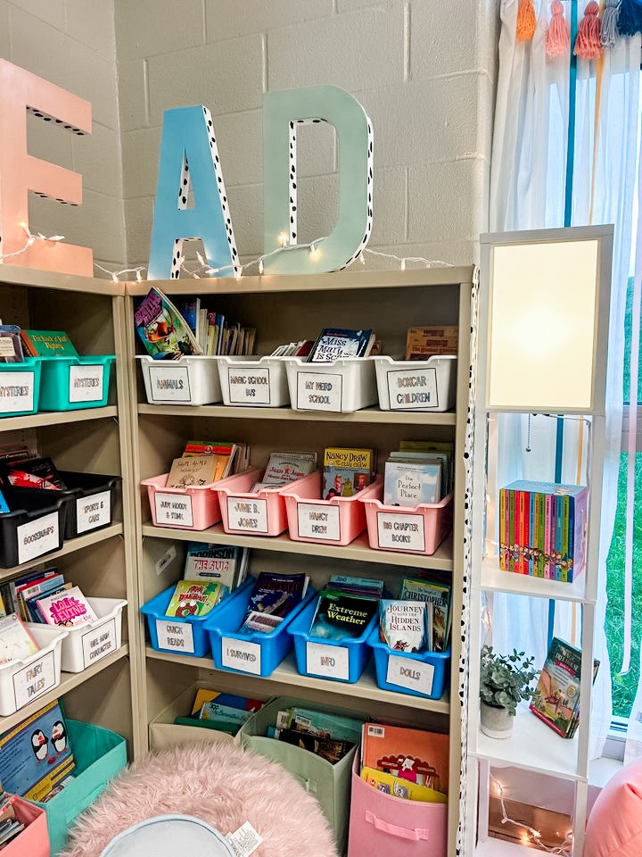 This image shows a closeup of the shelves of this 3rd grade classroom library. 