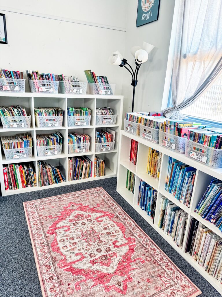 This image shows a classroom library with a colorful rug in front!